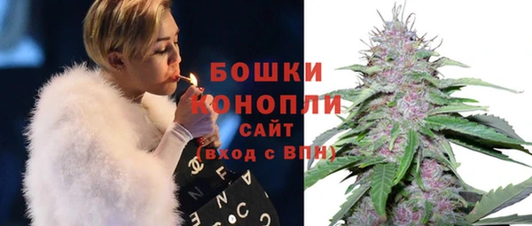 ГАЛЛЮЦИНОГЕННЫЕ ГРИБЫ Бронницы