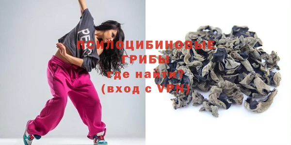 ГАЛЛЮЦИНОГЕННЫЕ ГРИБЫ Бронницы