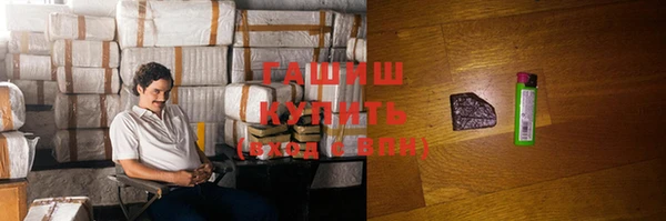 спиды Бородино