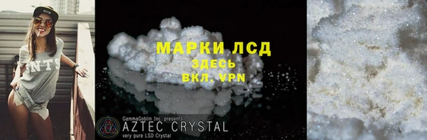 спиды Бородино