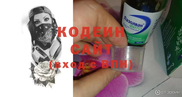 спиды Бородино