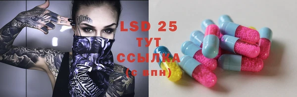 спиды Бородино
