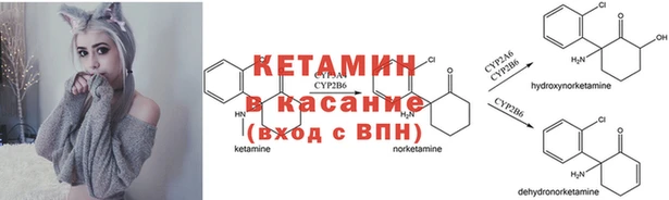 спиды Бородино
