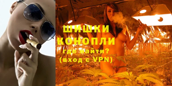 спиды Бородино