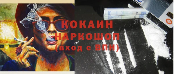 спиды Бородино