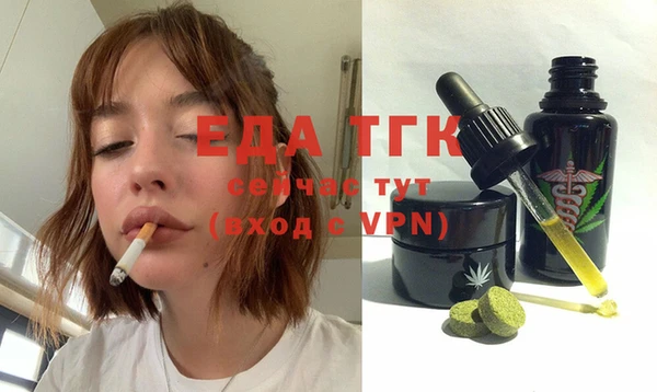 спиды Бородино