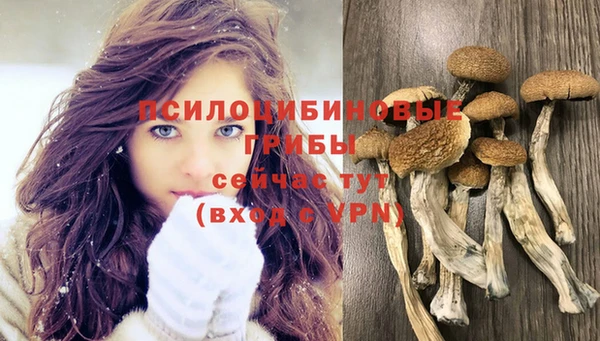 спиды Бородино